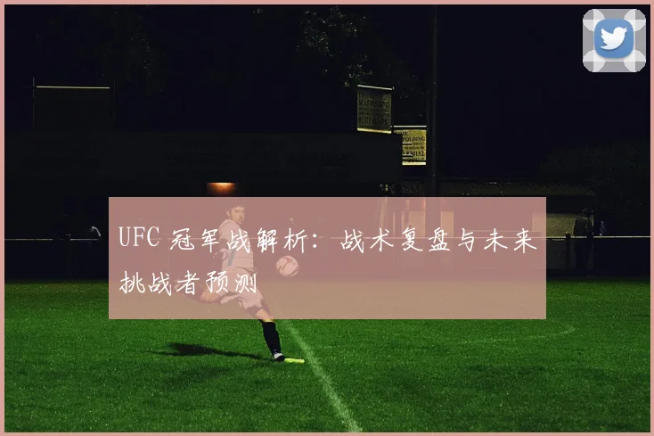 UFC 冠军战解析：战术复盘与未来挑战者预测